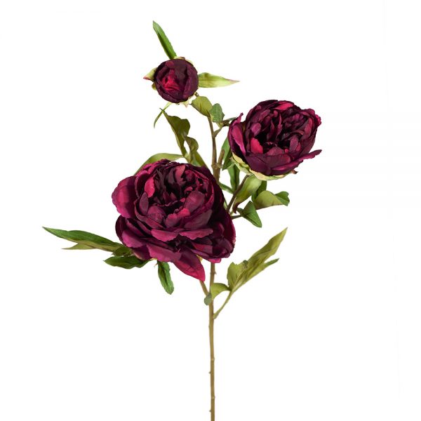 Peony Spray Burgundy 74cmL