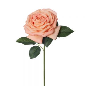 Rose Bella Real Touch Stem Peach 37cmL