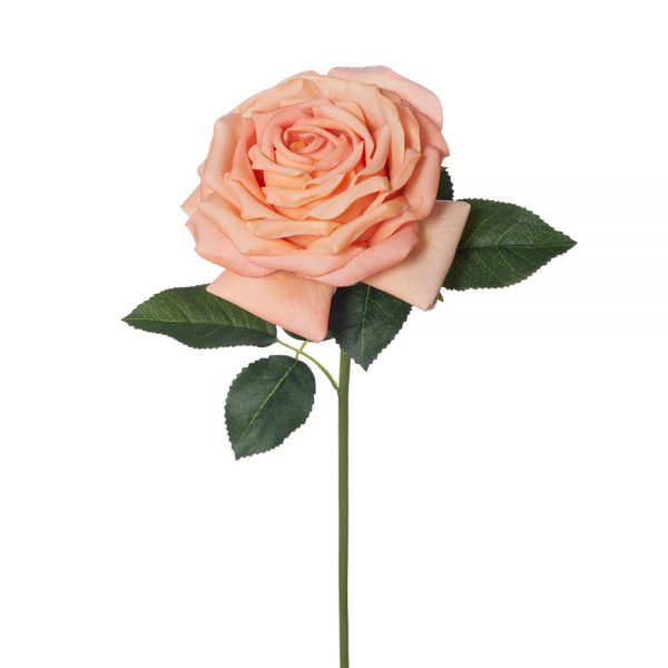Rose Bella Real Touch Stem Peach 37cmL