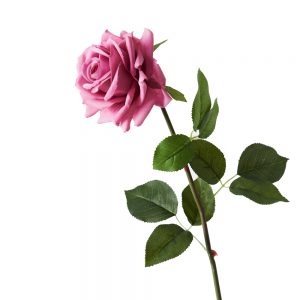 Rose Hanna Real Touch Stem Mauve 75cmL