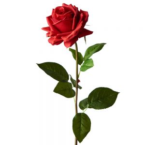 Rose Hanna Real Touch Stem Red 75cmL