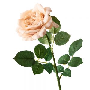 Rose Lanie Real Touch Stem Blush 65mL