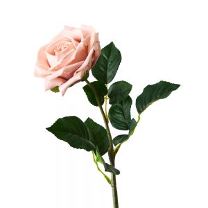 Rose Lana Real Touch Stem Blush 60mL