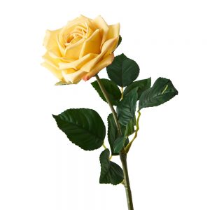 Rose Lana Real Touch Stem Yellow 60mL