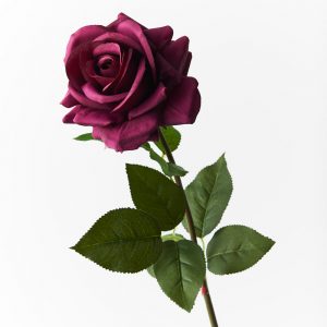 Rose Hanna Real Touch Stem Plum 75cmL