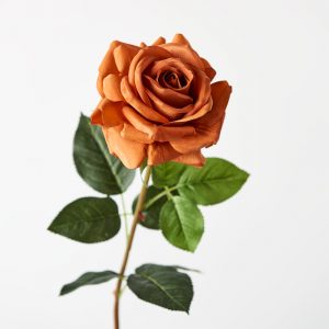 Rose Hanna Real Touch Stem Rust 75cmL