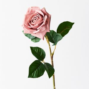 Rose Lana Real Touch Stem Dusty Pink 60mL