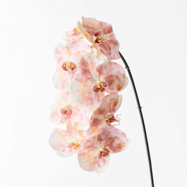 Orchid Phalaenopsis Infused Stem Pink Mauve 96cmL