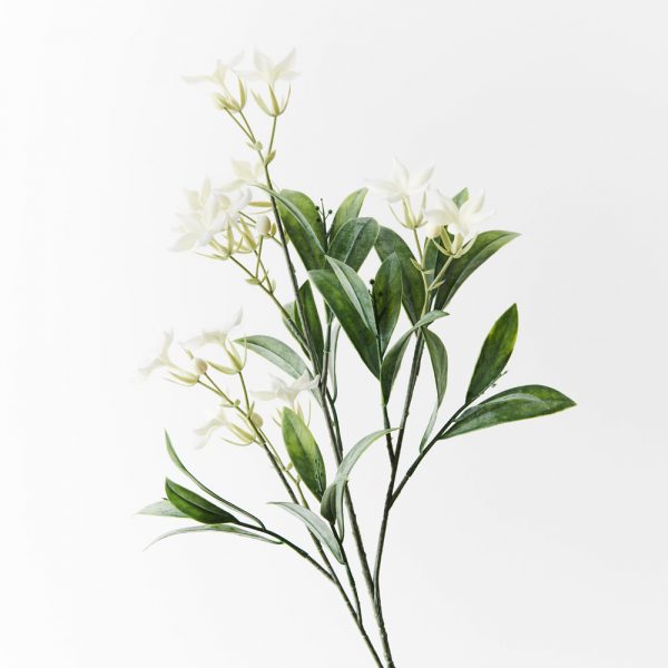 Stephanotis Flower Spray White 60cmL
