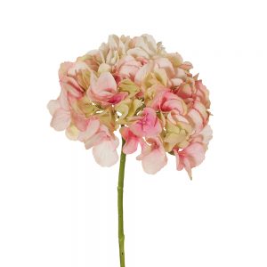 Hydrangea Stem without Leaves Pink Cream 46cmL