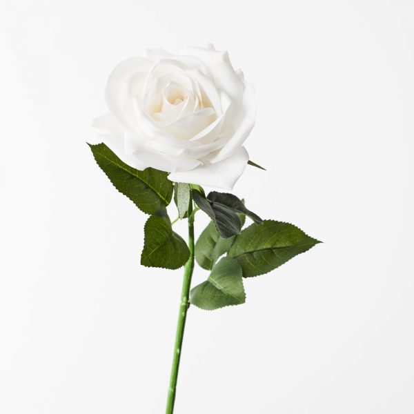Rose Tess Real Touch Stem Winter White 63cmL