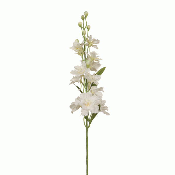Delphinium Stem White 60cmL