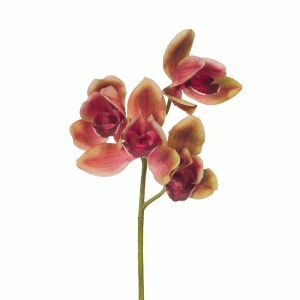 Orchid Cymbidium Stem Burnt Orange 48cmL