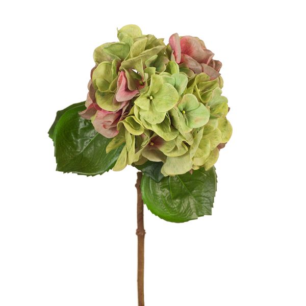 Hydrangea Stem Green Red 60cmL