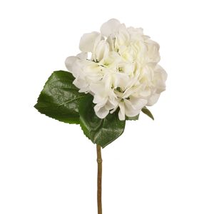 Hydrangea Stem White Green 60cmL