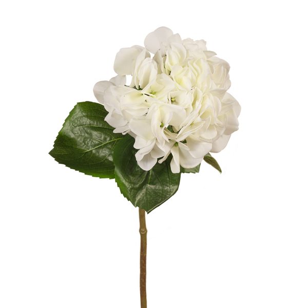 Hydrangea Stem White Green 60cmL