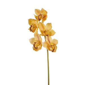 Orchid Cymbidium Stem Yellow 68cmL
