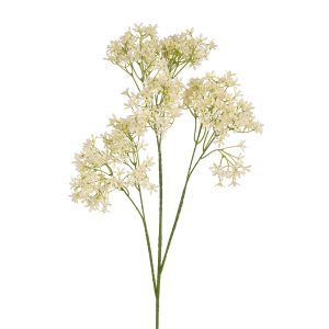 Jasmine Spray Cream 72cmL