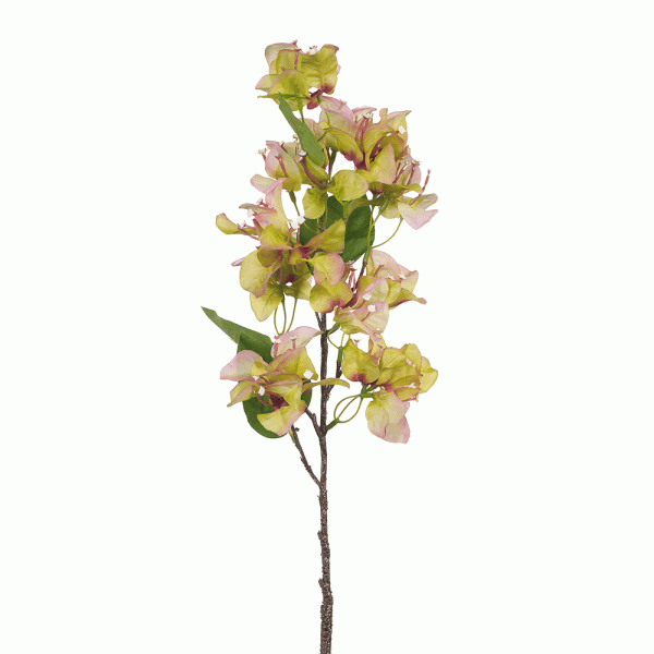 Bougainvillea Stem Green Pink 76mL