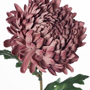 Chrysanthemum Stem Dusty Mauve 76cmL - Image 2