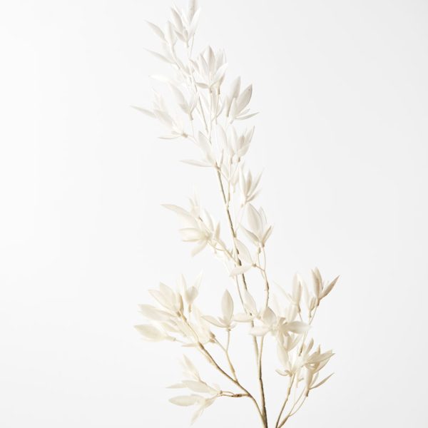 Michelia Spray White 72cmL