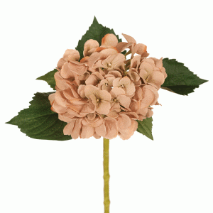 Hydrangea Stem Toffee 50cmL
