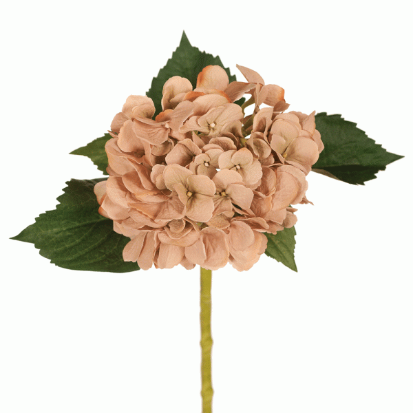 Hydrangea Stem Toffee 50cmL