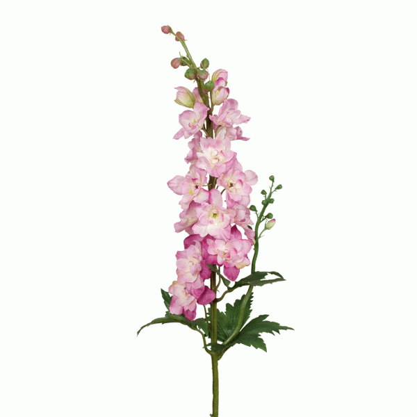 Delphinium Stem Pink 88cmL