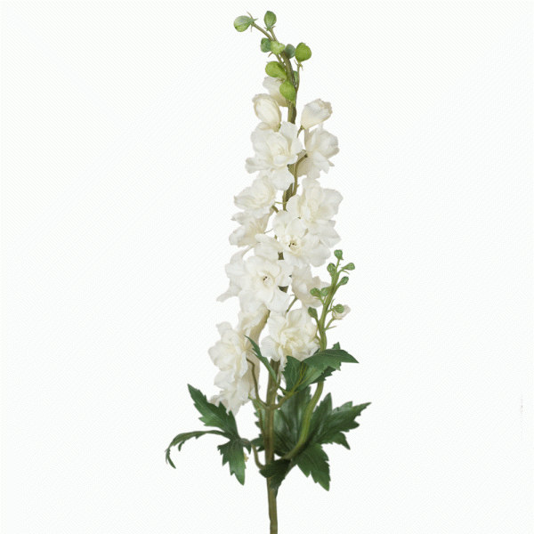 Delphinium Stem White 88cmL