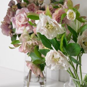 Helleborus Spray Pink Green 48cmL - Image 2
