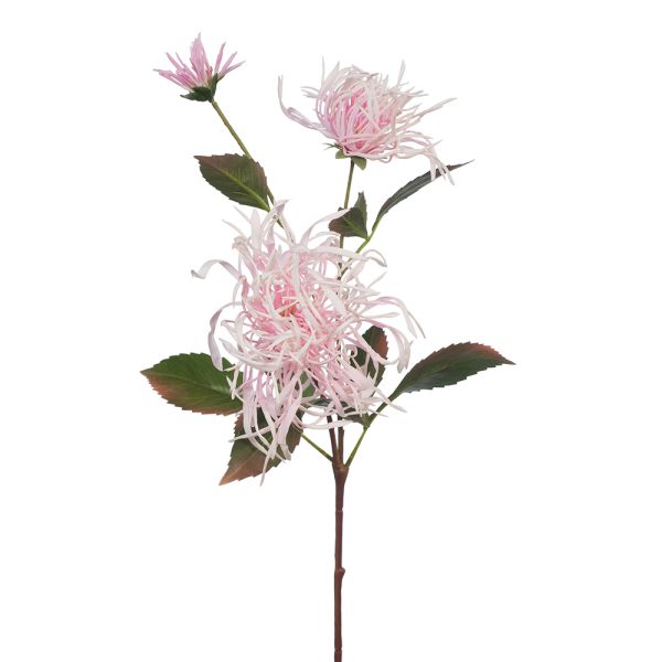 Chrysanthemum Spider Spray Light Pink 66cmL